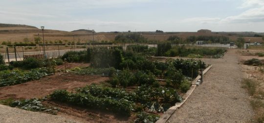 Imagen ABIERTO EL PLAZO DE PRESENTACIÓN DE INSTANCIAS PARA EL SORTEO DE LOS HUERTOS DE OCIO