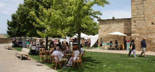 Imagen XIV FIESTA DEL VINO Y PATRIMONIO